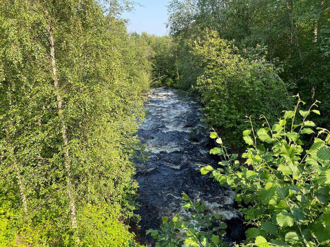 villevayrynen-eduskuntaan2022r