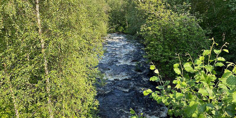 villevayrynen-eduskuntaan2022r